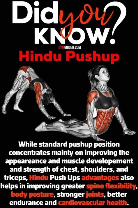 More Power 5. . Hindu pushups and squats benefits